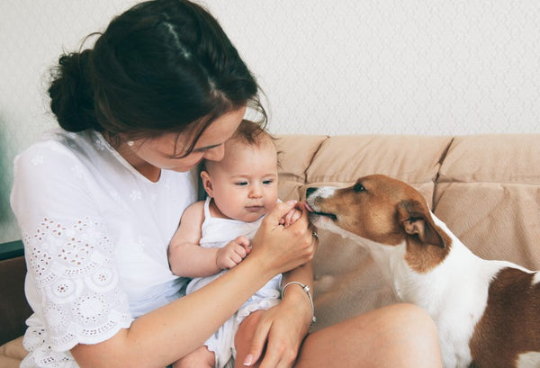 9 Important Steps for Introducing Dog to Baby